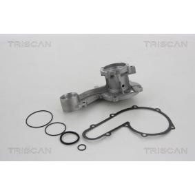 Achetez des Pompe à eau TRISCAN 8600 80012 à prix pour 123,74 €