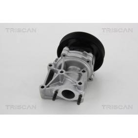 Achetez des Pompe à eau TRISCAN 8600 80013 à prix pour 71,10 €