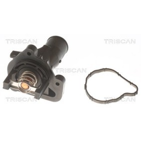 Achetez des Thermostat d'eau TRISCAN 8620 27084 à prix pour 82,09 €