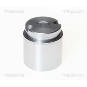 Køb Temperaturkontakt, kølerventilator af TRISCAN 8625 29092 til den lave pris 130,30 DKK