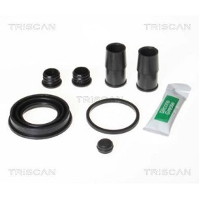 Achetez des Courroie Poly-V TRISCAN 8640 300648 à prix pour 11,70 €