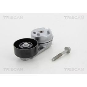 Compre Rolo tensor, correia trapezoidal estriada da TRISCAN 8641 102036 a um preço baixo por 106,82 €