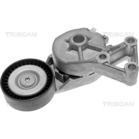 Comprar Brazo tensor, correa poli V de TRISCAN 8641 103006 a bajo precio de 58,11 €