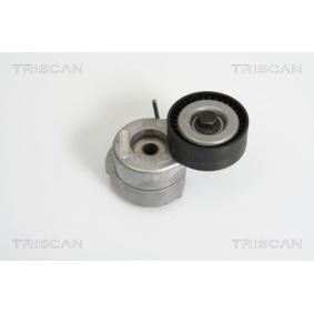 Comprar Brazo tensor, correa poli V de TRISCAN 8641 103019 a bajo precio de 75,09 €