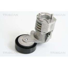 Acquista Braccio tenditore, Cinghia Poly-V da TRISCAN 8641 103024 a buon mercato per soli 148,02 €