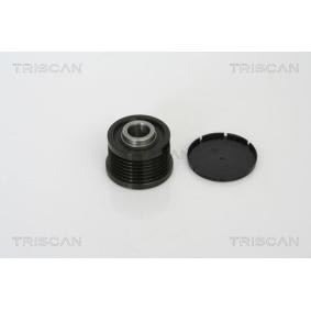 Achetez des Poulie roue libre, alternateur TRISCAN 8641 104008 à prix pour 85,63 €