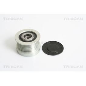Generatorfreilauf von TRISCAN