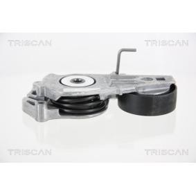 Comprar Brazo tensor, correa poli V de TRISCAN 8641 113030 a bajo precio de 82,79 €