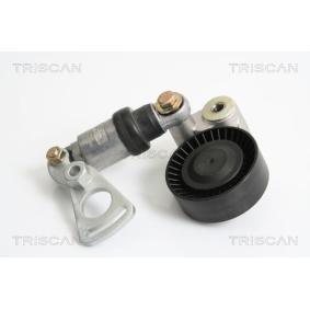 Compre Tensor de la correa trapecial poli v de TRISCAN online para B10 Touring (E34) a precios moderados