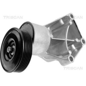 Acquista Braccio tenditore, Cinghia Poly-V da TRISCAN 8641 163002 a buon mercato per soli 100,80 €