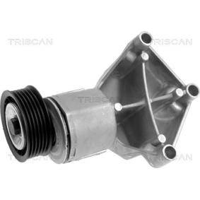 Acquista Braccio tenditore, Cinghia Poly-V da TRISCAN 8641 163003 a buon mercato per soli 80,64 €