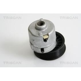 Acquista Braccio tenditore, Cinghia Poly-V da TRISCAN 8641 163013 a buon mercato per soli 147,58 €