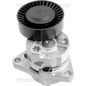 Comprar Brazo tensor, correa poli V de TRISCAN 8641 183001 a bajo precio de 91,25 €