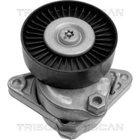 Comprar Brazo tensor, correa poli V de TRISCAN 8641 233004 a bajo precio de 87,64 €