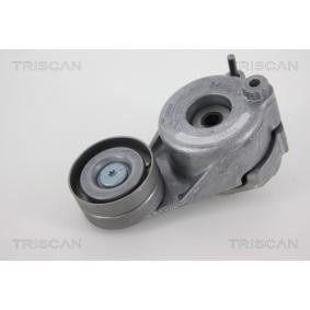 Comprar Brazo tensor, correa poli V de TRISCAN 8641 233018 a bajo precio de 184,63 €