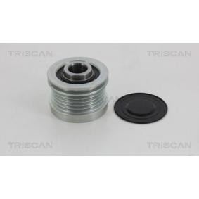 Achetez des Poulie roue libre, alternateur TRISCAN 8641 234001 à prix pour 94,06 €