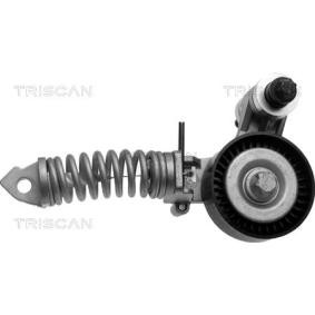 Comprar Brazo tensor, correa poli V de TRISCAN 8641 241003 a bajo precio de 106,11 €