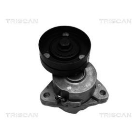 Comprar Brazo tensor, correa poli V de TRISCAN 8641 243003 a bajo precio de 59,38 €