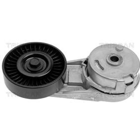 Comprar Brazo tensor, correa poli V de TRISCAN 8641 243007 a bajo precio de 53,53 €
