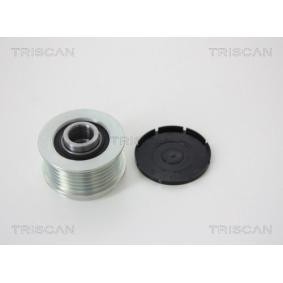 Generatorfreilauf von TRISCAN