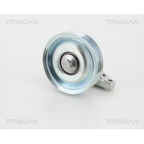 Achetez des Poulie renvoi / transmission, courroie trapézoïdale à nervures de chez TRISCAN en ligne pour Scudo III Van à prix modérés