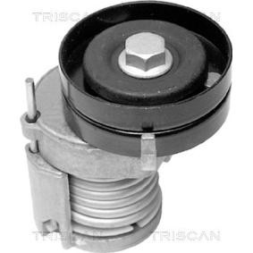 Comprar Brazo tensor, correa poli V de TRISCAN 8641 291003 a bajo precio de 97,37 €