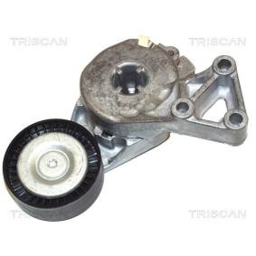 Comprar Brazo tensor, correa poli V de TRISCAN 8641 293003 a bajo precio de 61,63 €