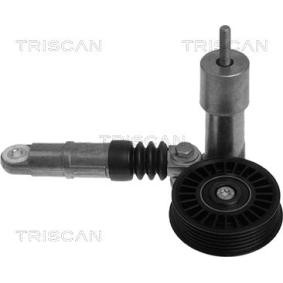Comprar Brazo tensor, correa poli V de TRISCAN 8641 293004 a bajo precio de 96,24 €