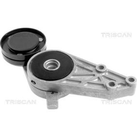 Comprar Brazo tensor, correa poli V de TRISCAN 8641 293006 a bajo precio de 38,79 €
