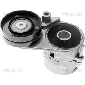 Comprar Brazo tensor, correa poli V de TRISCAN 8641 293008 a bajo precio de 55,69 €