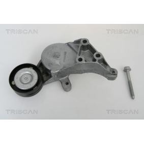 Comprar Brazo tensor, correa poli V de TRISCAN 8641 293014 a bajo precio de 93,76 €