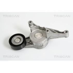 Comprar Brazo tensor, correa poli V de TRISCAN 8641 293016 a bajo precio de 75,43 €