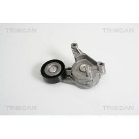 Comprar Brazo tensor, correa poli V de TRISCAN 8641 293017 a bajo precio de 77,25 €