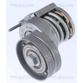 Comprar Brazo tensor, correa poli V de TRISCAN 8641 293018 a bajo precio de 65,68 €