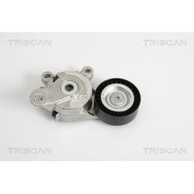 Comprar Brazo tensor, correa poli V de TRISCAN 8641 293019 a bajo precio de 80,43 €