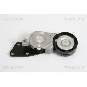 Comprar Brazo tensor, correa poli V de TRISCAN 8641 293020 a bajo precio de 60,66 €