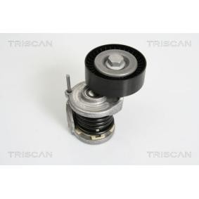 Comprar Brazo tensor, correa poli V de TRISCAN 8641 293021 a bajo precio de 63,27 €