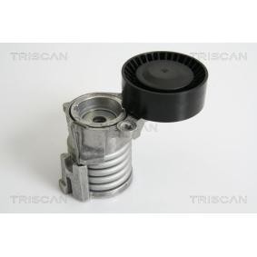 Comprar Brazo tensor, correa poli V de TRISCAN 8641 293025 a bajo precio de 70,65 €