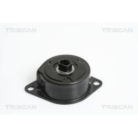 Comprar Brazo tensor, correa poli V de TRISCAN 8641 293026 a bajo precio de 90,45 €