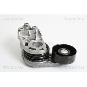 Comprar Brazo tensor, correa poli V de TRISCAN 8641 293027 a bajo precio de 60,19 €