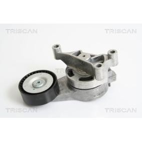 Comprar Brazo tensor, correa poli V de TRISCAN 8641 293028 a bajo precio de 60,30 €