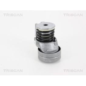 Comprar Brazo tensor, correa poli V de TRISCAN 8641 293035 a bajo precio de 69,12 €