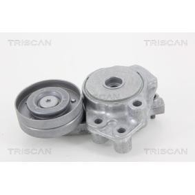 Comprar Brazo tensor, correa poli V de TRISCAN 8641 293036 a bajo precio de 71,03 €