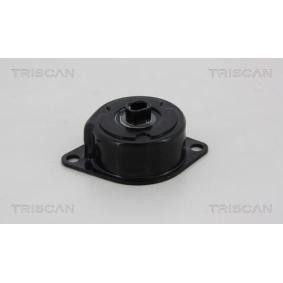 Comprar Brazo tensor, correa poli V de TRISCAN 8641 293040 a bajo precio de 57,64 €