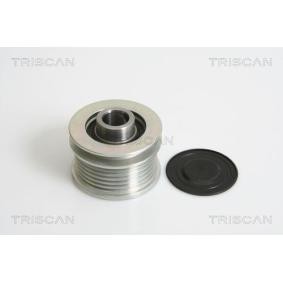 Generatorfreilauf von TRISCAN