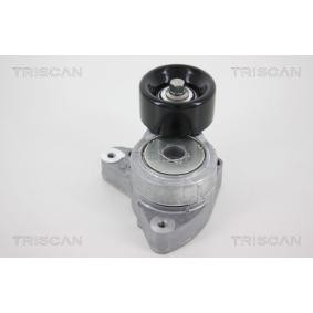 Compre Tensor, correia trapezoidal estriada da TRISCAN 8641 403005 a um preço baixo por 141,68 €