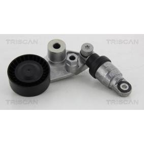 Compre Tensor, correia trapezoidal estriada da TRISCAN 8641 443001 a um preço baixo por 116,20 €