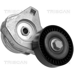 Comprar Brazo tensor, correa poli V de TRISCAN 8641 803001 a bajo precio de 119,09 €