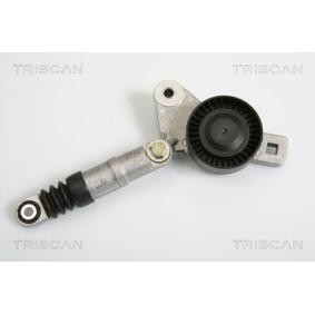 Comprar Brazo tensor, correa poli V de TRISCAN 8641 803002 a bajo precio de 164,14 €