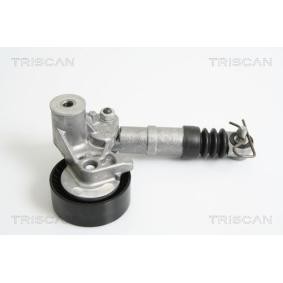 Comprar Brazo tensor, correa poli V de TRISCAN 8641 803003 a bajo precio de 147,24 €